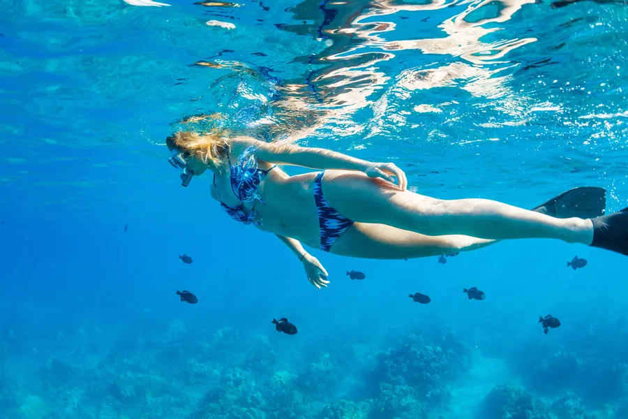 Snorkeler face to face with a large tropical fish in Kauai waters