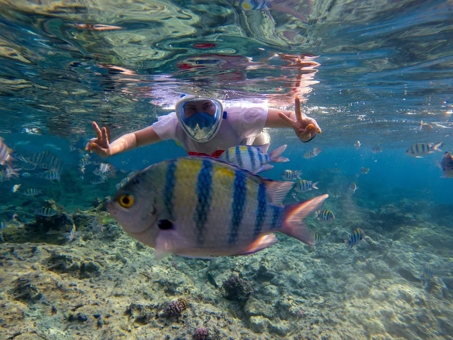 Woman snorkeling in crystal clear blue water off Oahu