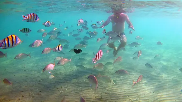 Snorkeling