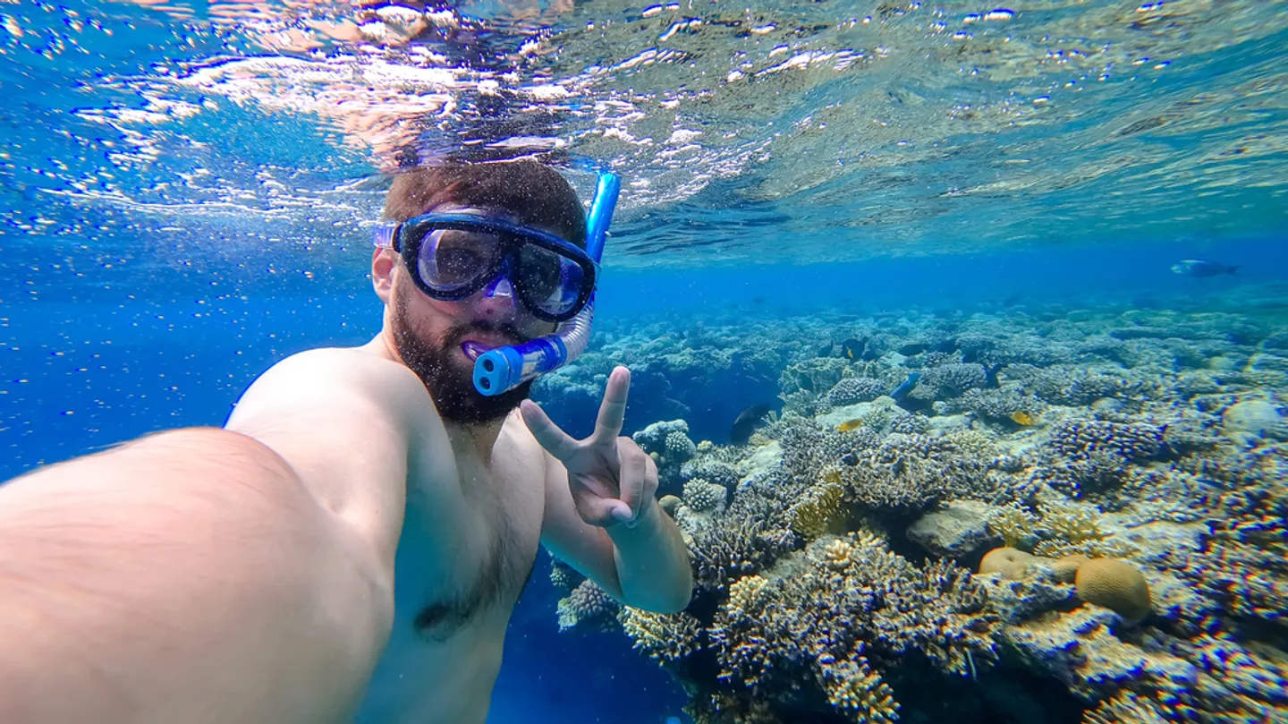 Snorkeler underwater with colorful coral reef in Oahu