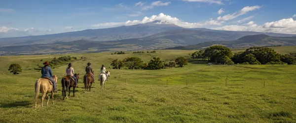Horseback Riding