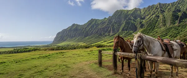 Horseback Riding