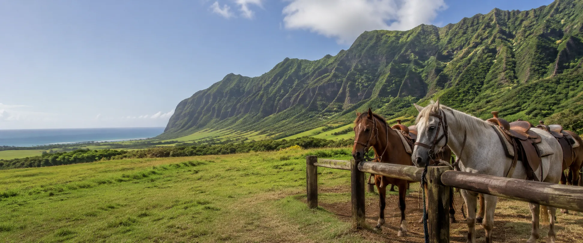 Oahu horseback riding with mountain views